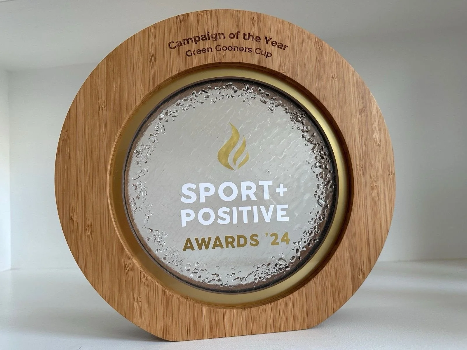 CAMPAIGN OF THE YEAR - GREEN GOONERS CUP